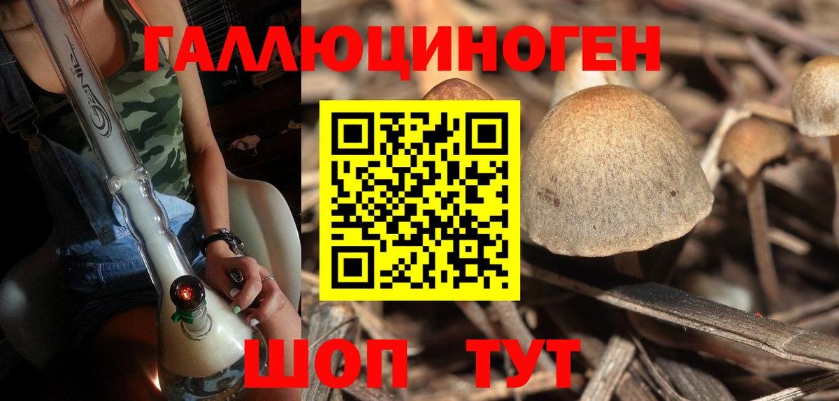 Псилоцибиновые грибы GOLDEN TEACHER Волгоград