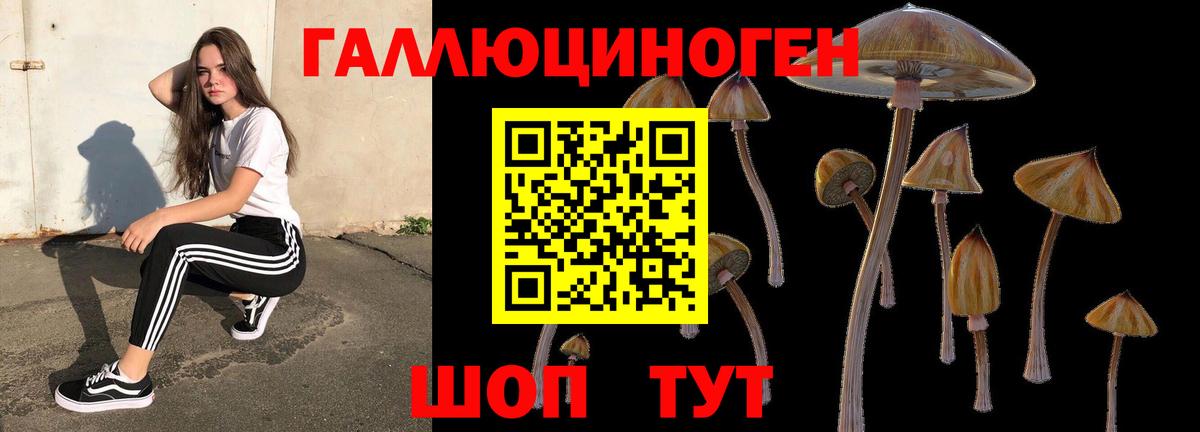Галлюциногенные грибы мухоморы  Вход с VPN  где продают   Волгоград 